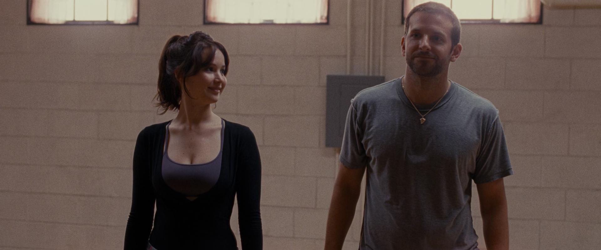 Silver Linings Playbook Wallpapers