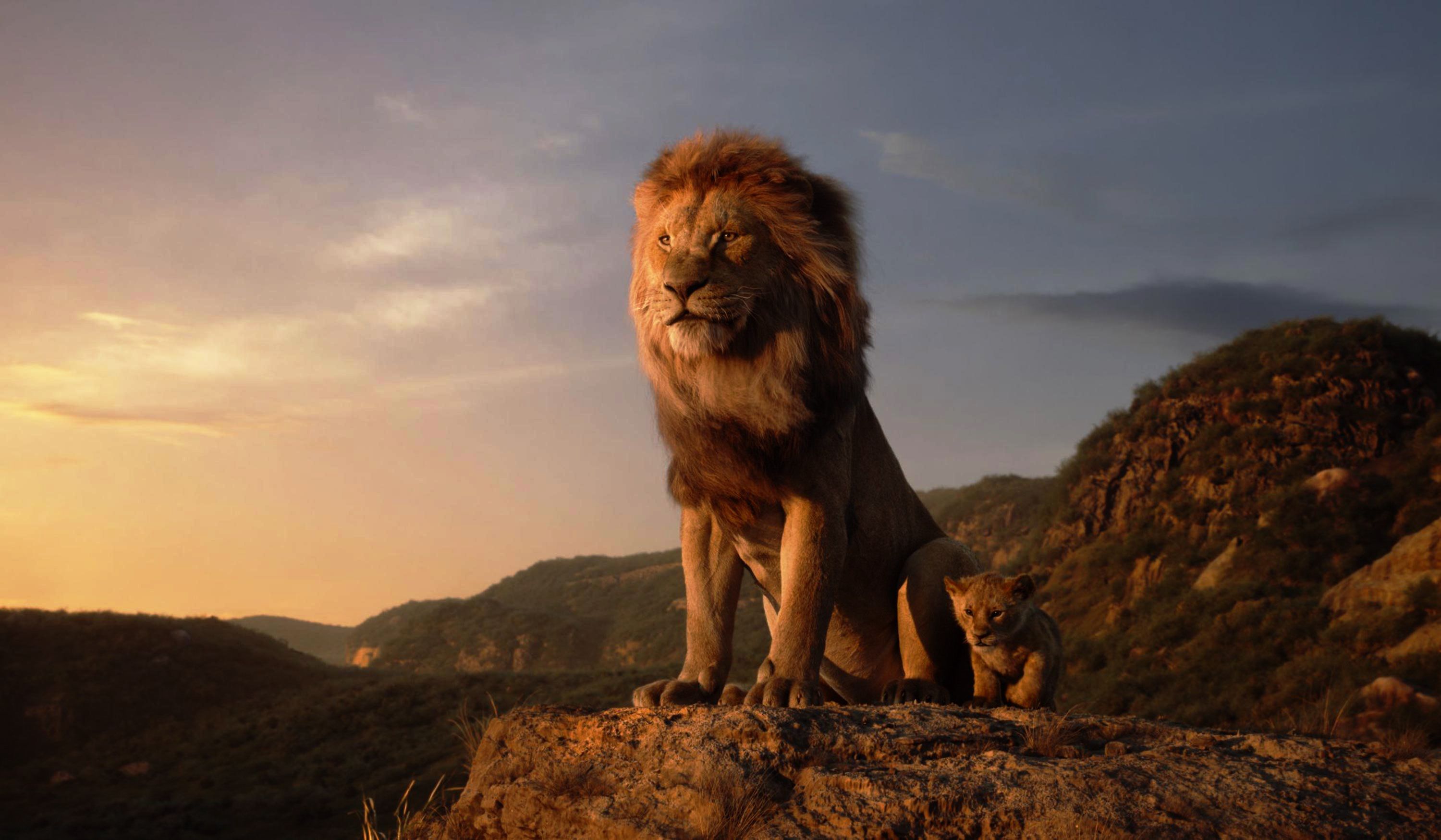 Simba In The Lion King 2019 Movie Wallpapers