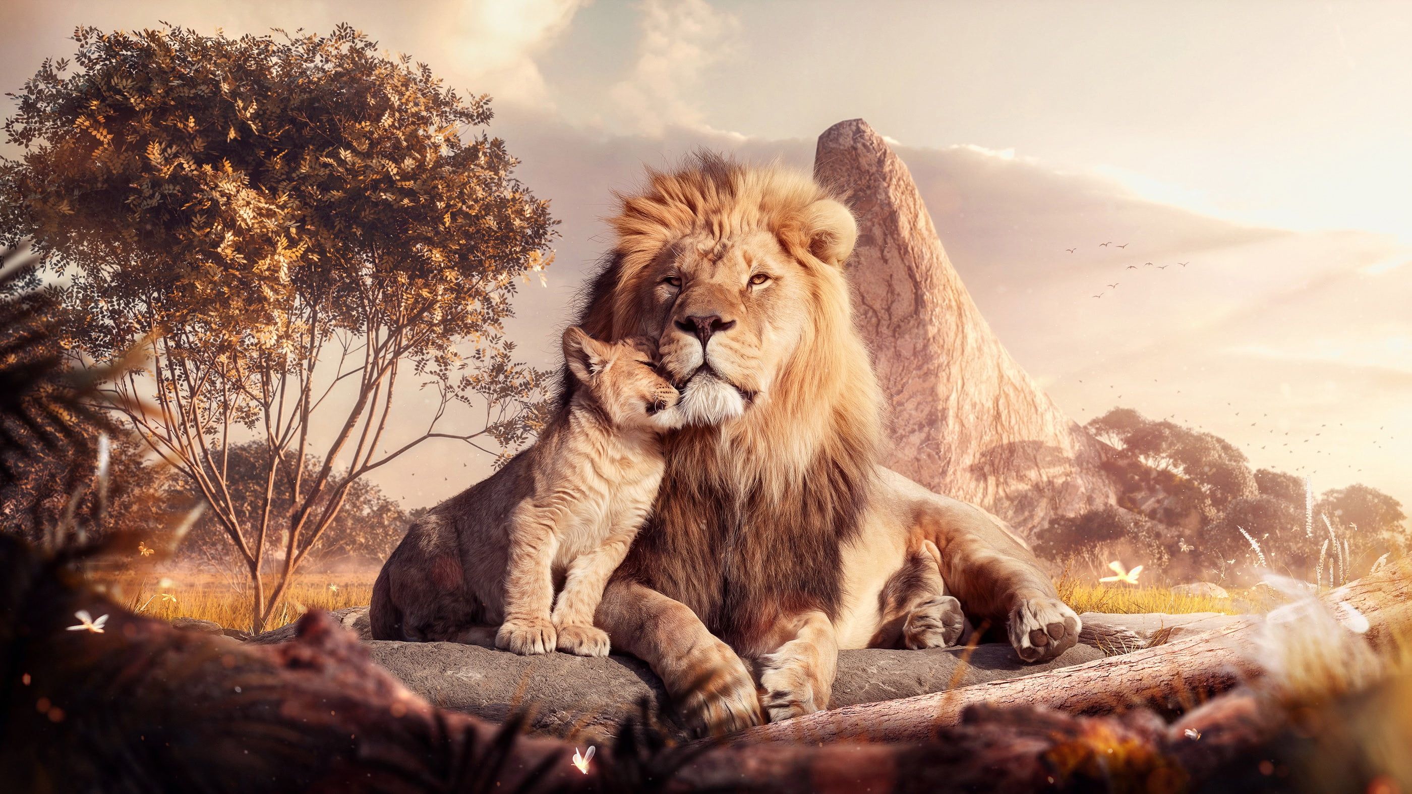 Simba In The Lion King 2019 Movie Wallpapers