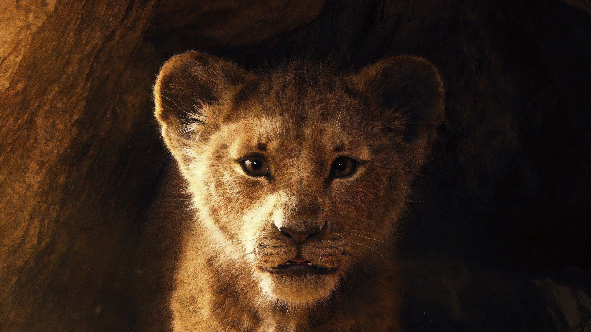 Simba In The Lion King 2019 Movie Wallpapers