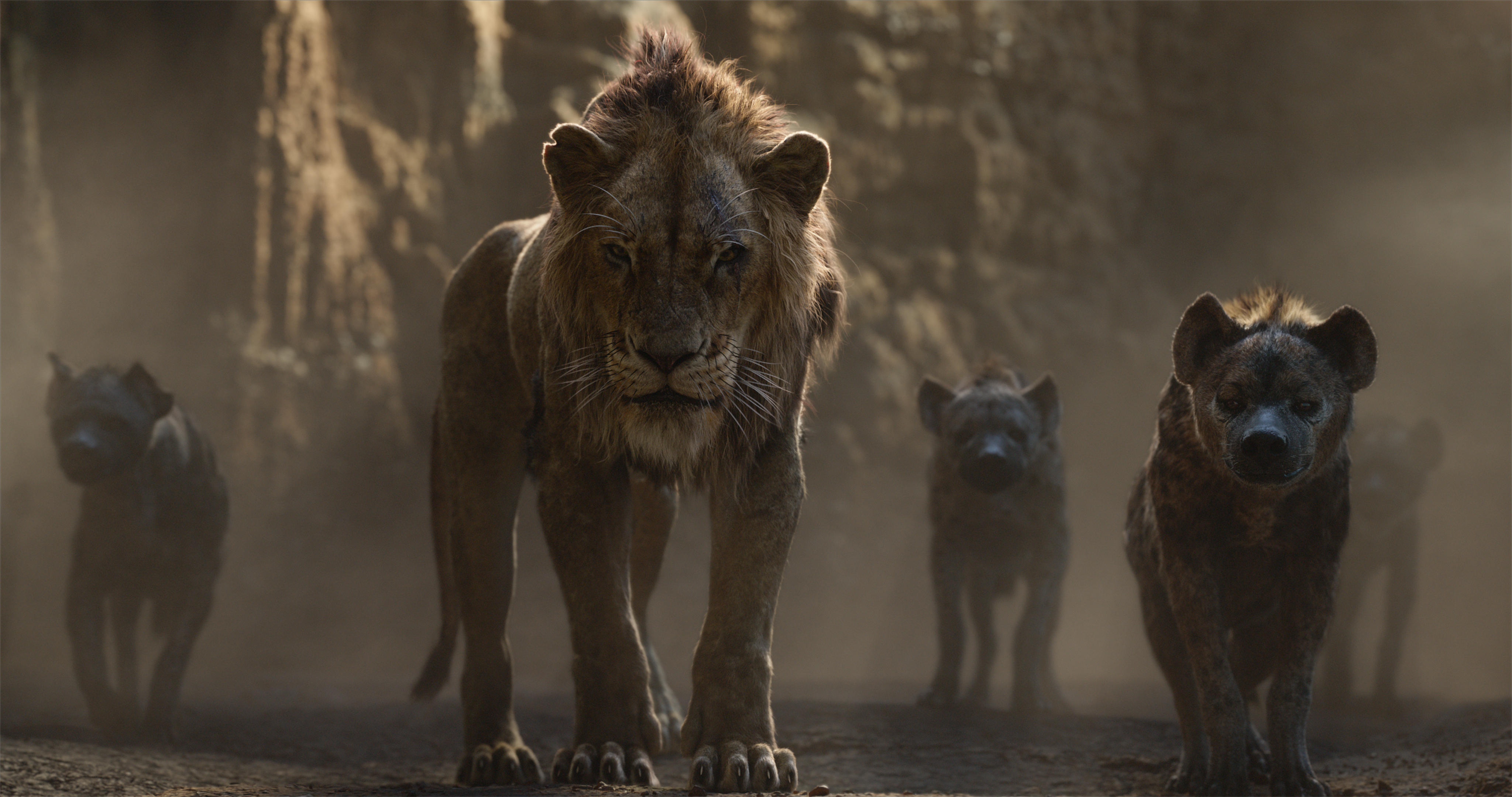 Simba In The Lion King 2019 Movie Wallpapers