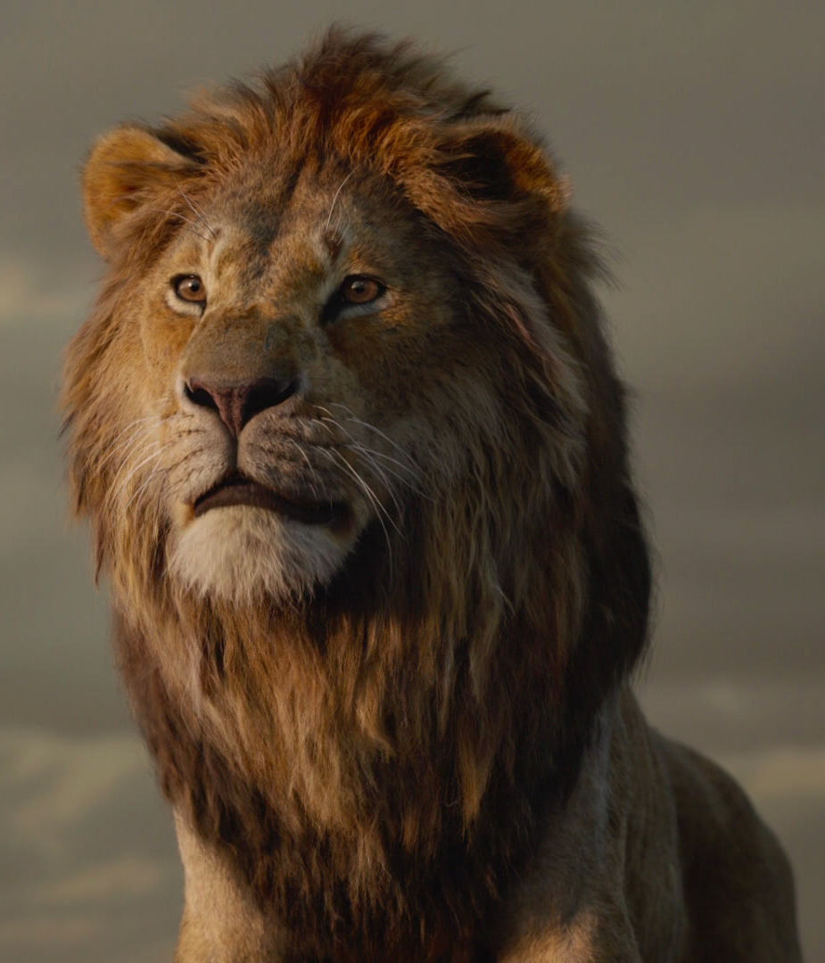 Simba In The Lion King 2019 Movie Wallpapers