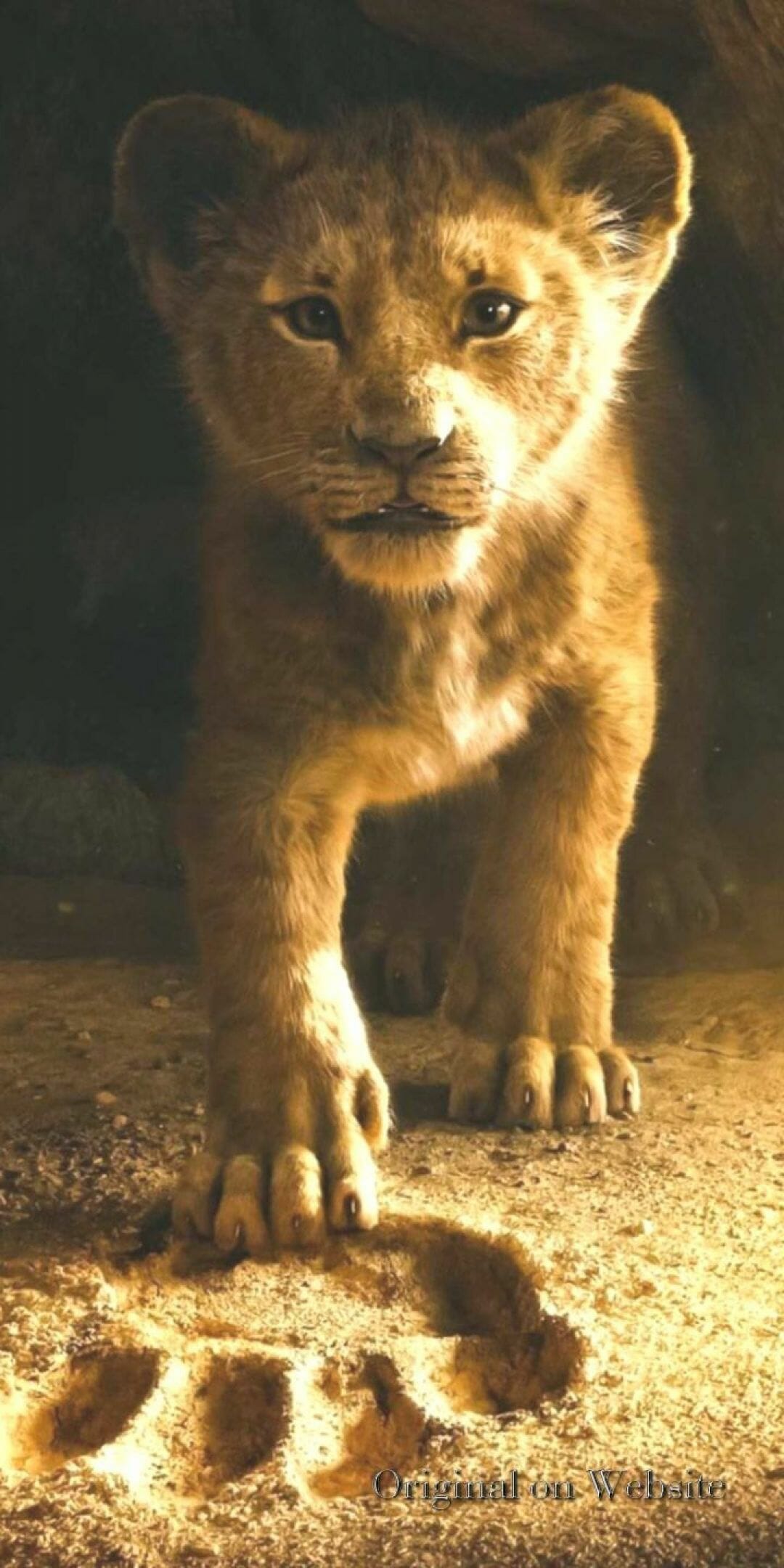 Simba In The Lion King 2019 Movie Wallpapers