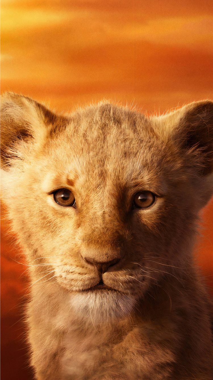 Simba Wallpapers