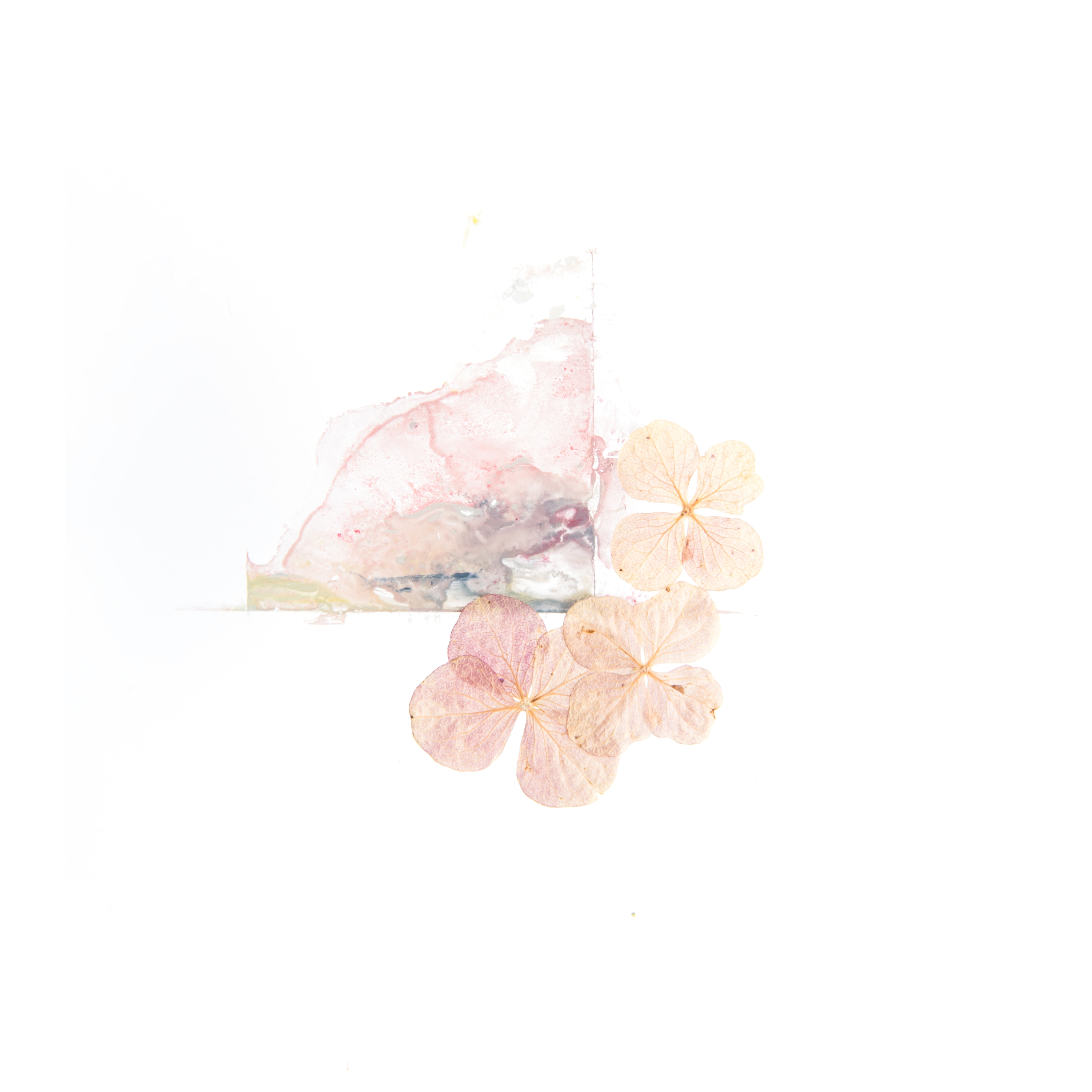 Simple Aesthetic Watercolor Flowers Wallpapers