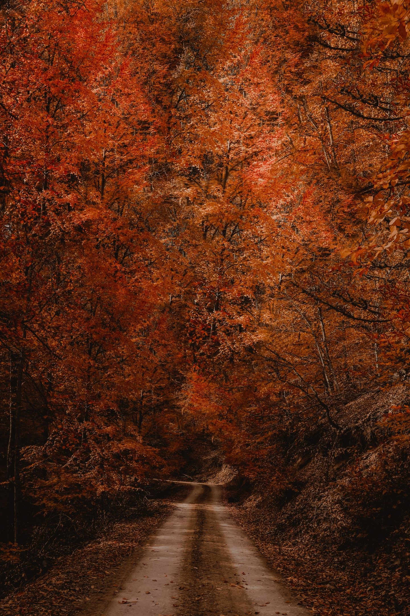 Simple Fall Background