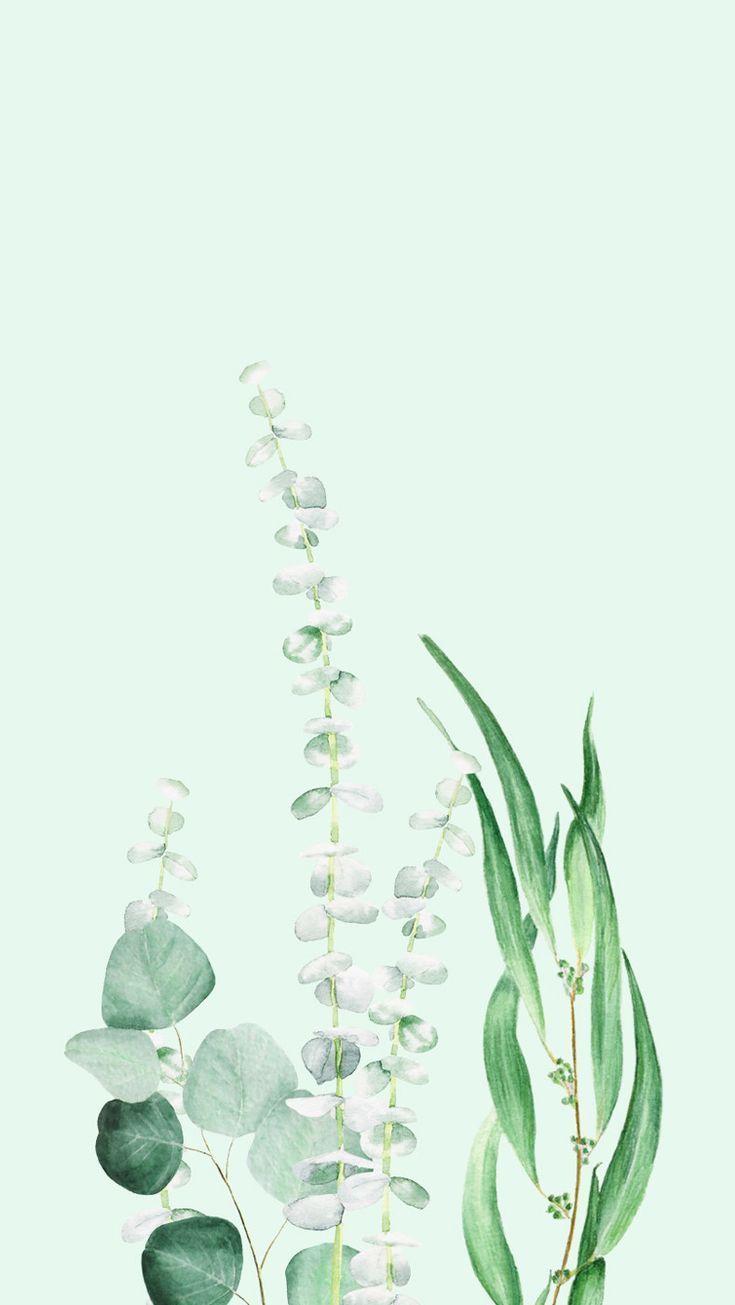 Simple Plant Wallpapers