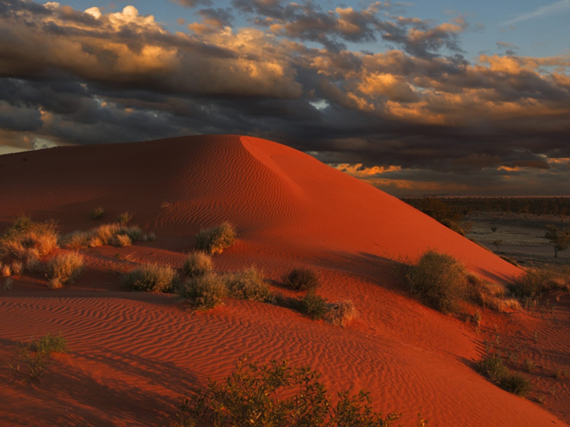 Simpson Desert Wallpapers