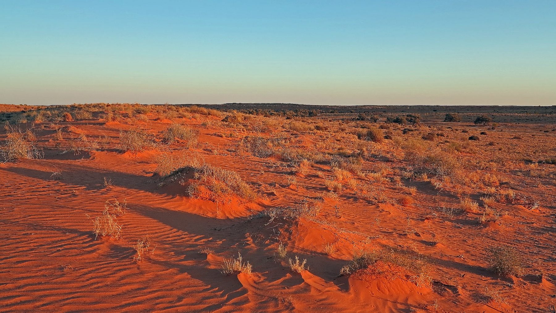 Simpson Desert Wallpapers