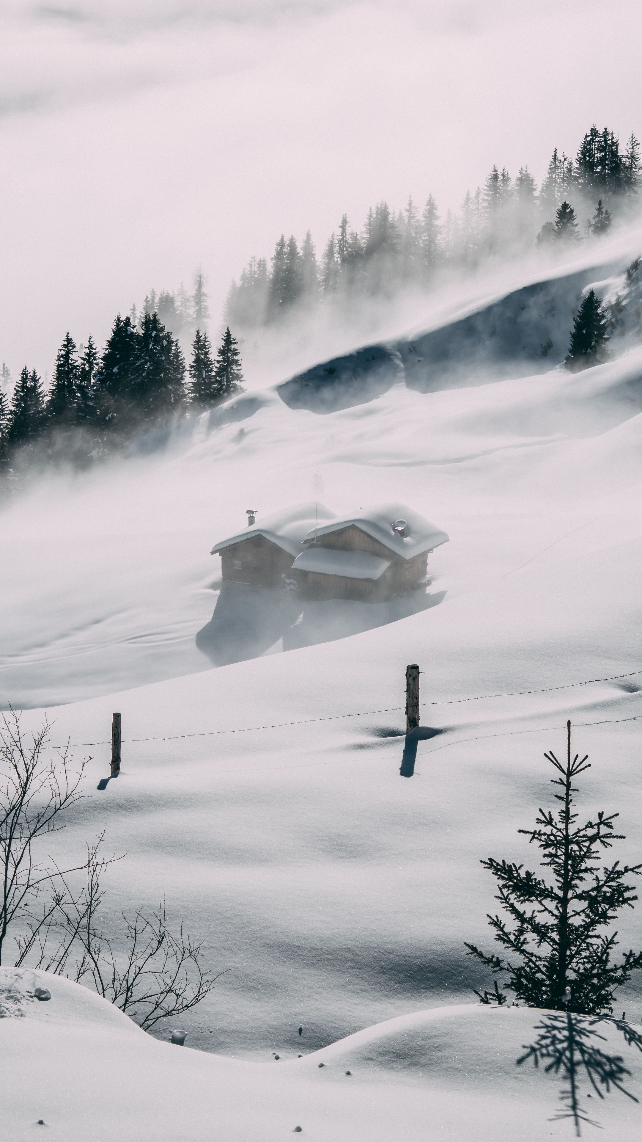 Single House In Fogy Winter Wallpapers