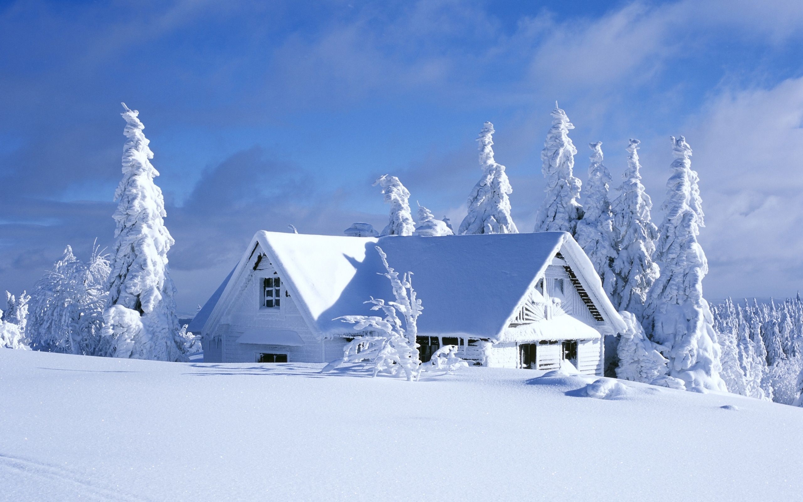 Single House In Fogy Winter Wallpapers