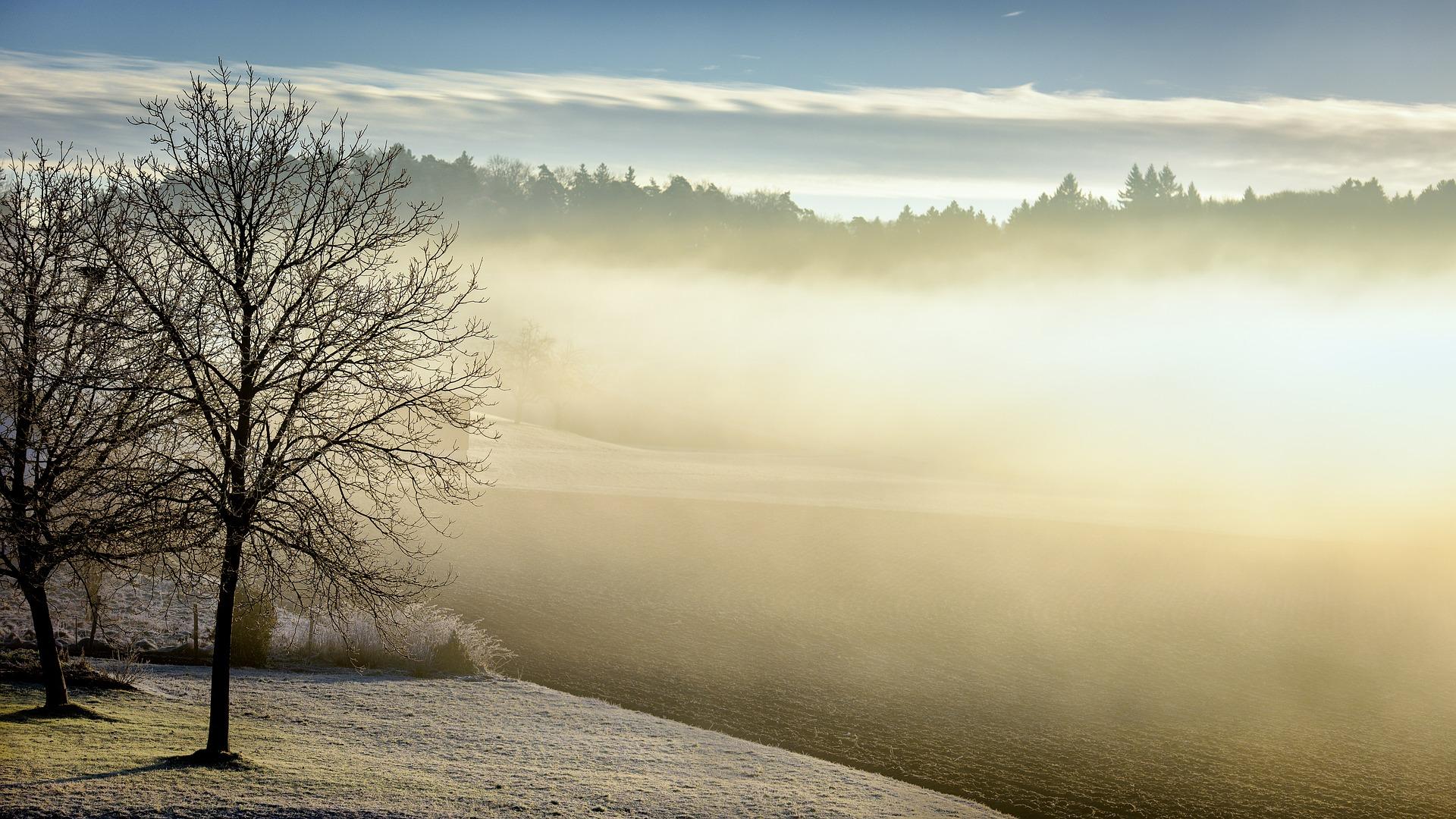 Single House In Fogy Winter Wallpapers