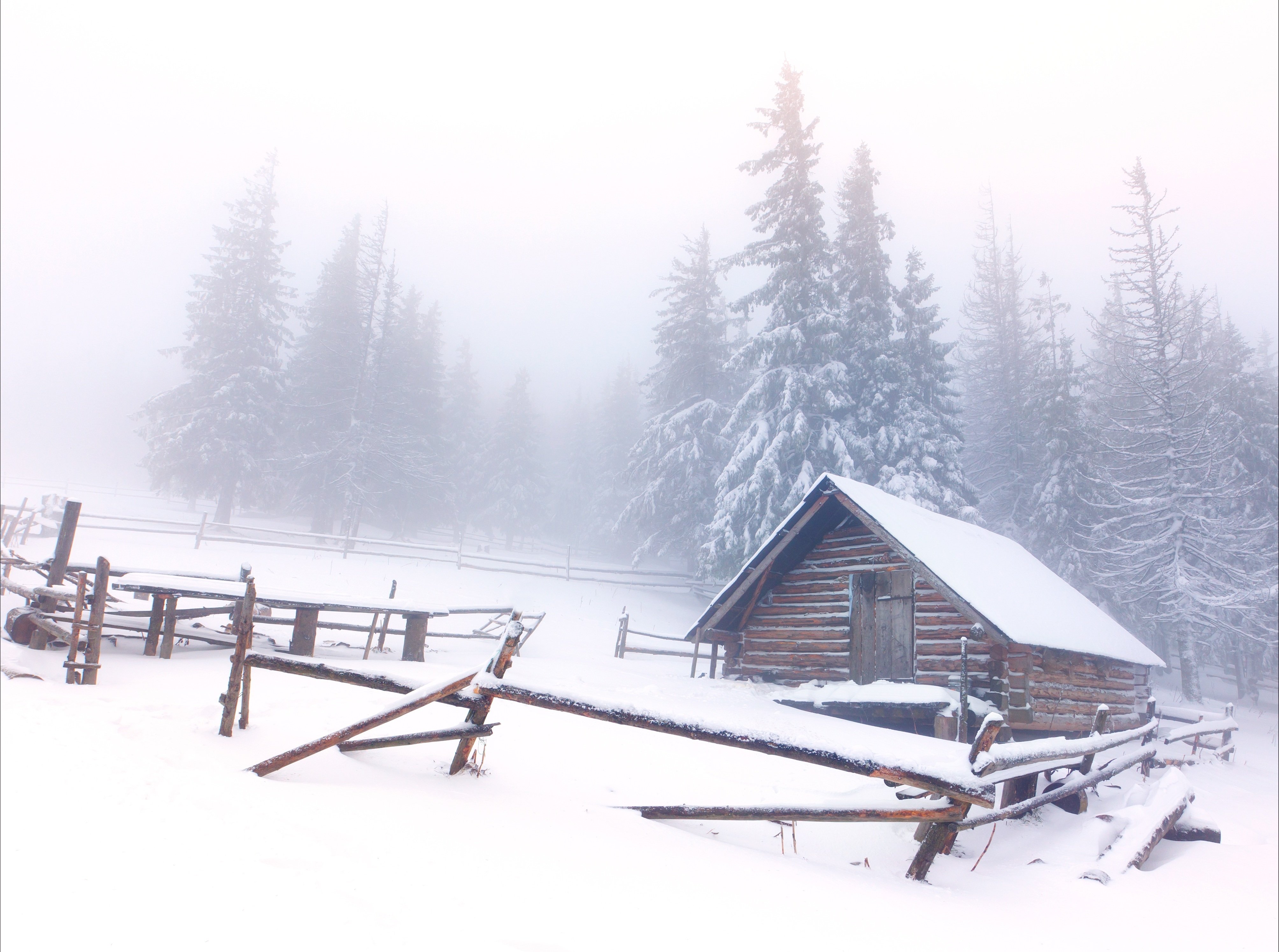 Single House In Fogy Winter Wallpapers