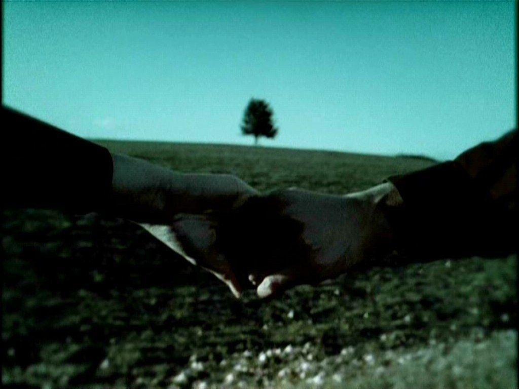 Six Feet Under Wallpapers