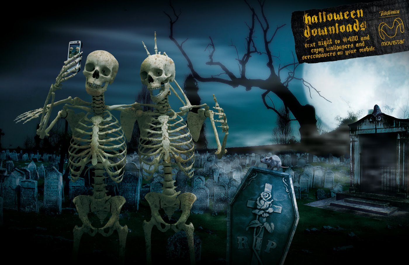 Skeleton Halloween Wallpapers