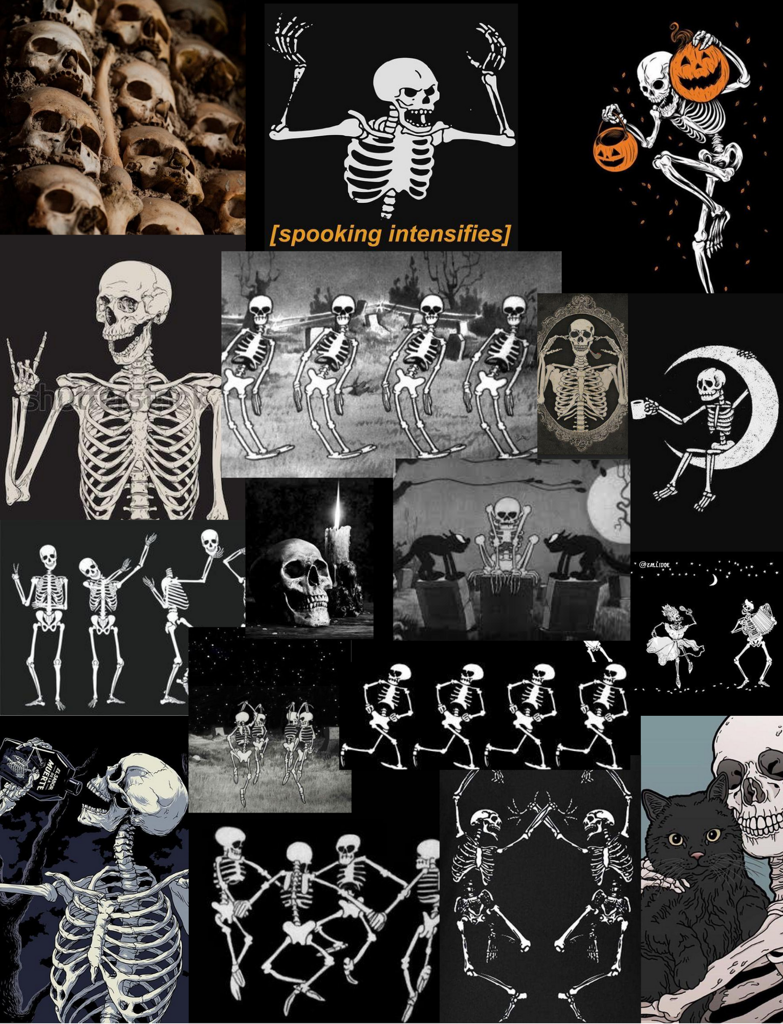 Skeleton Halloween Wallpapers