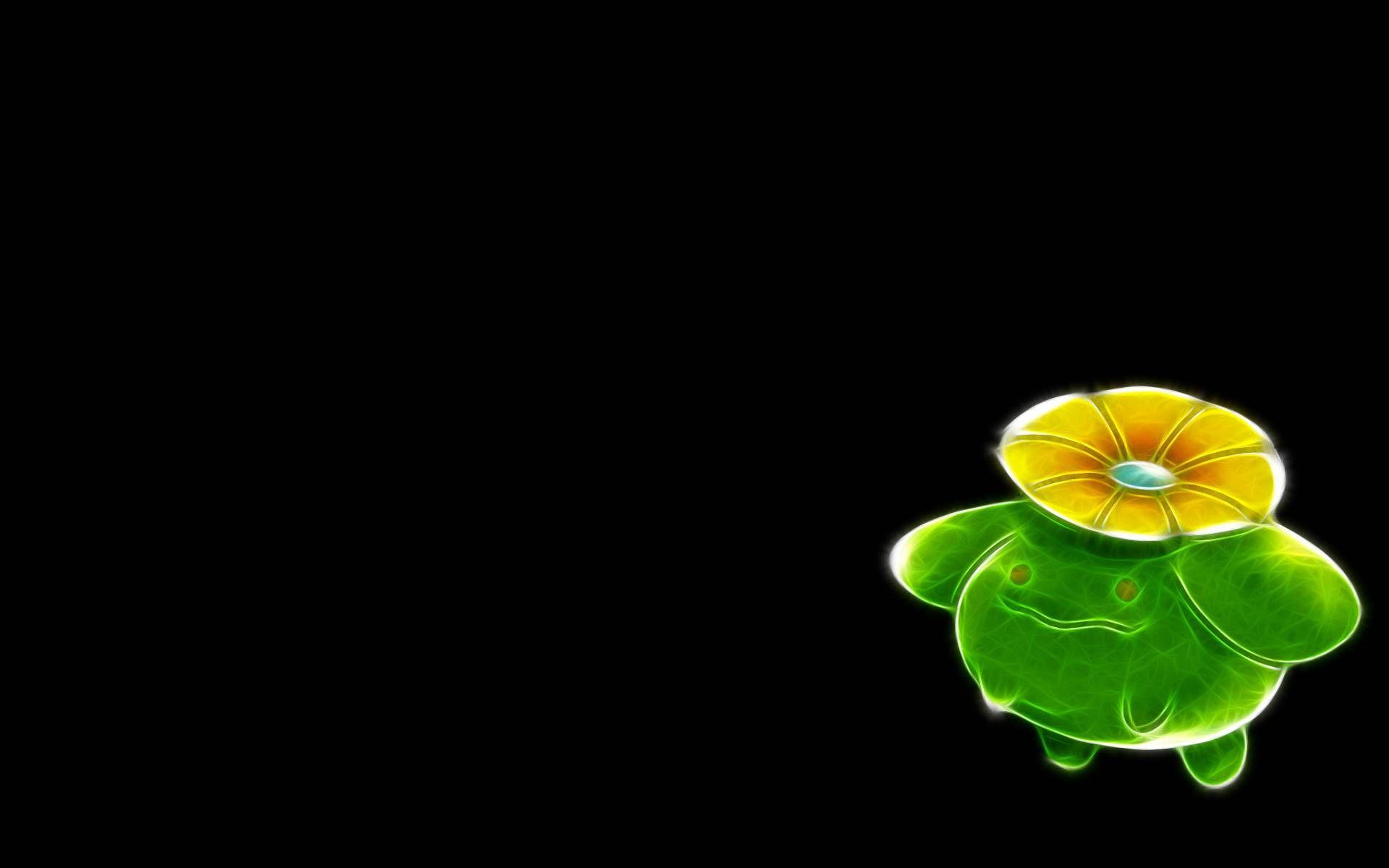 Skiploom Hd Wallpapers