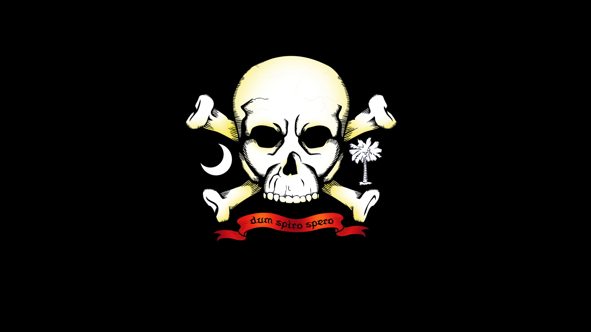 Skull and Bones Wallpapers