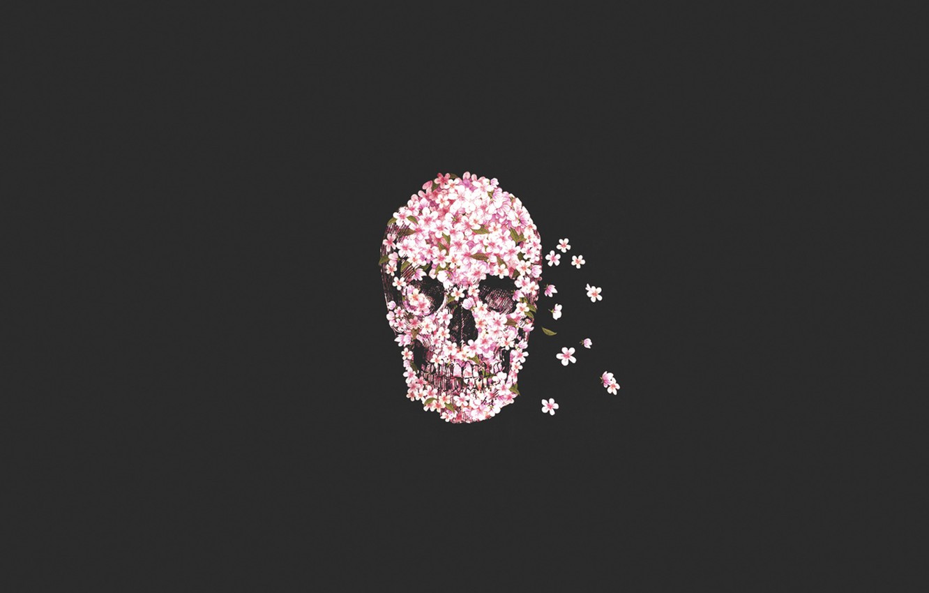 Skull And Flower Wallpapers