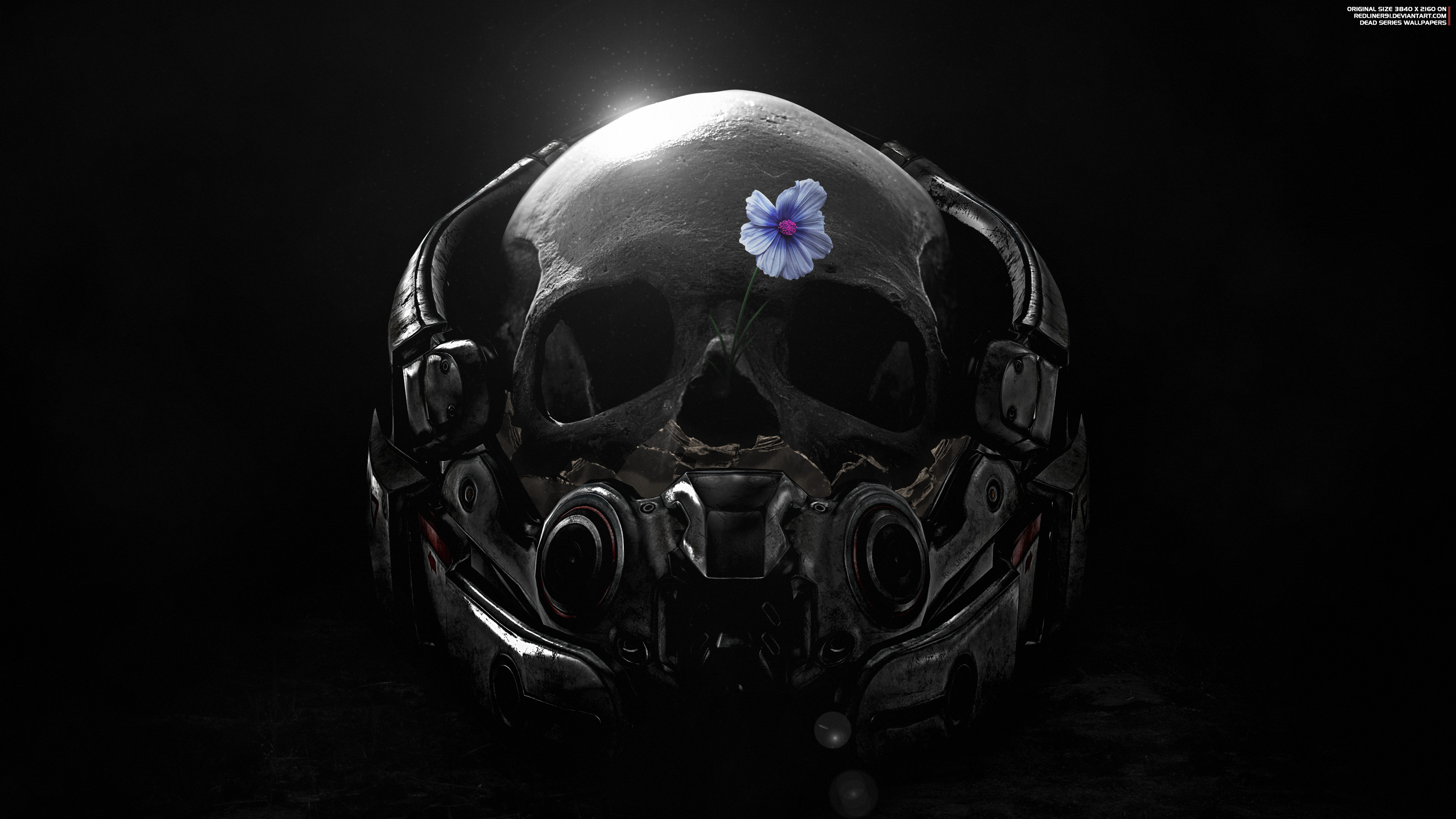 Skull And Flower Wallpapers