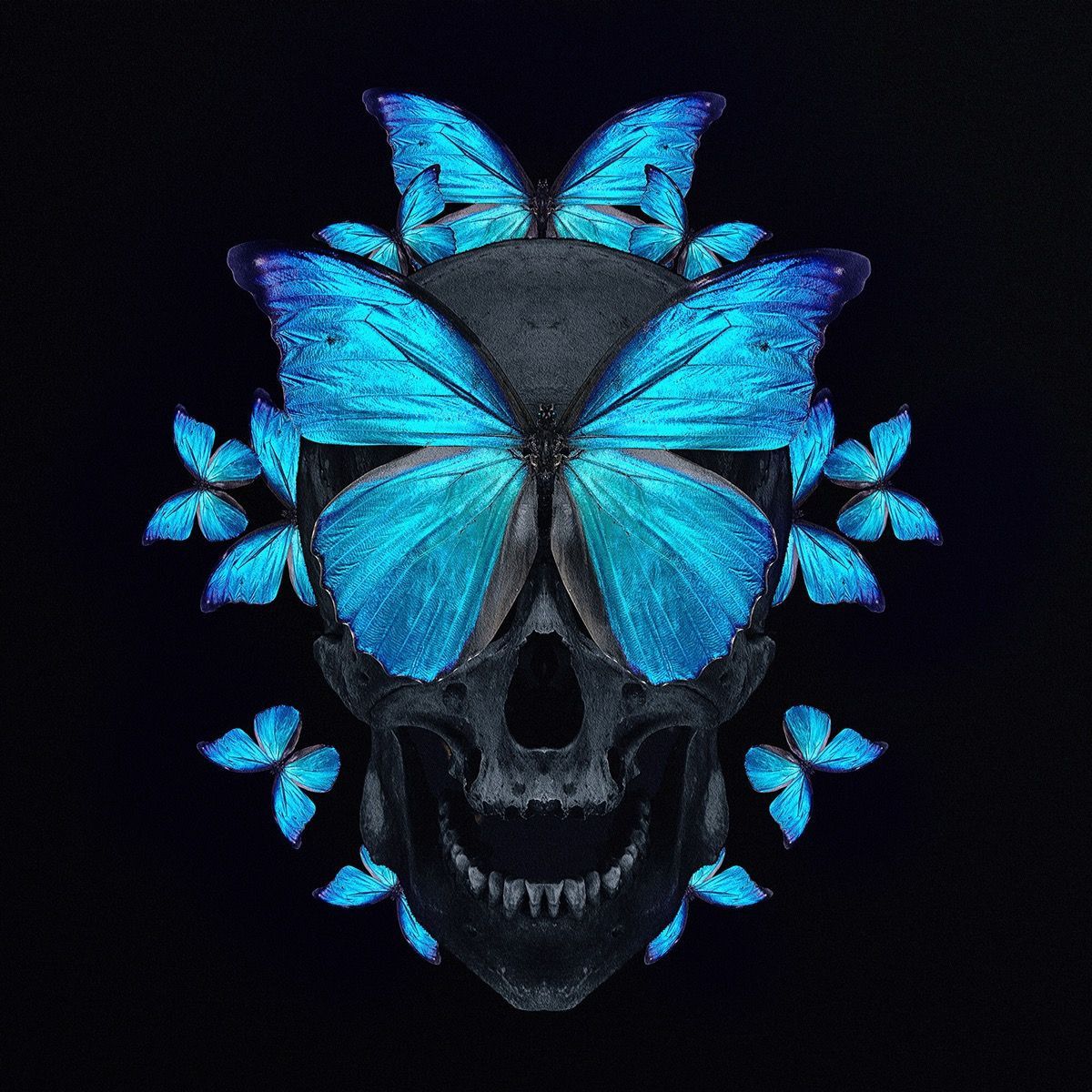 Skulls And Butterflies Wallpapers