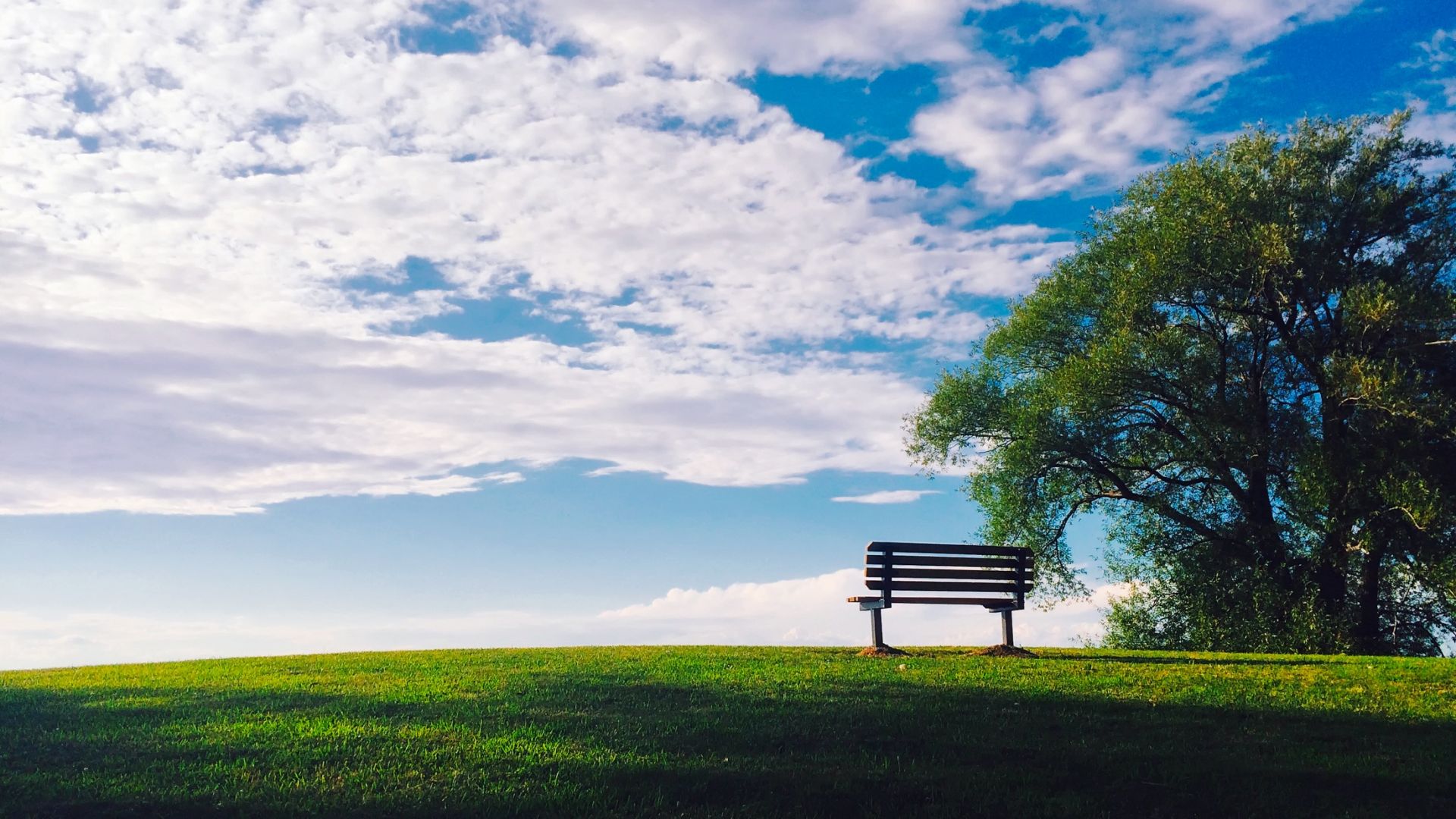 Sky, Bench And Trees Wallpapers