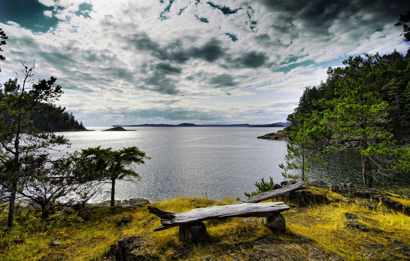 Sky, Bench And Trees Wallpapers