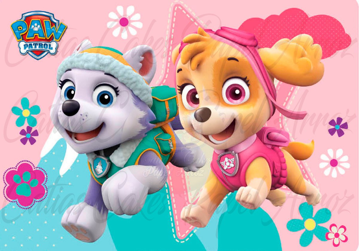 Skye Paw Patrol Wallpapers