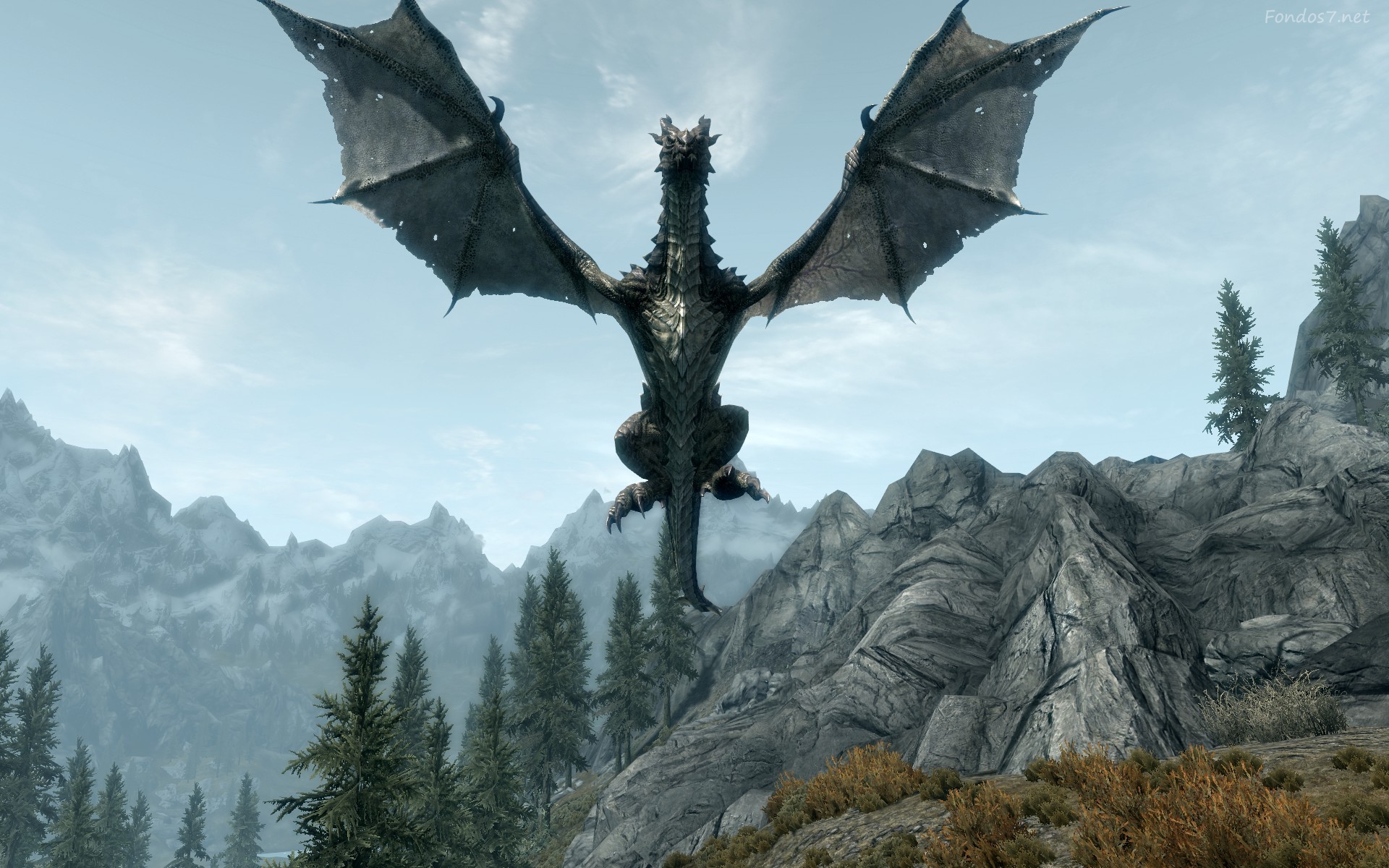 Skyrim Dragon Background