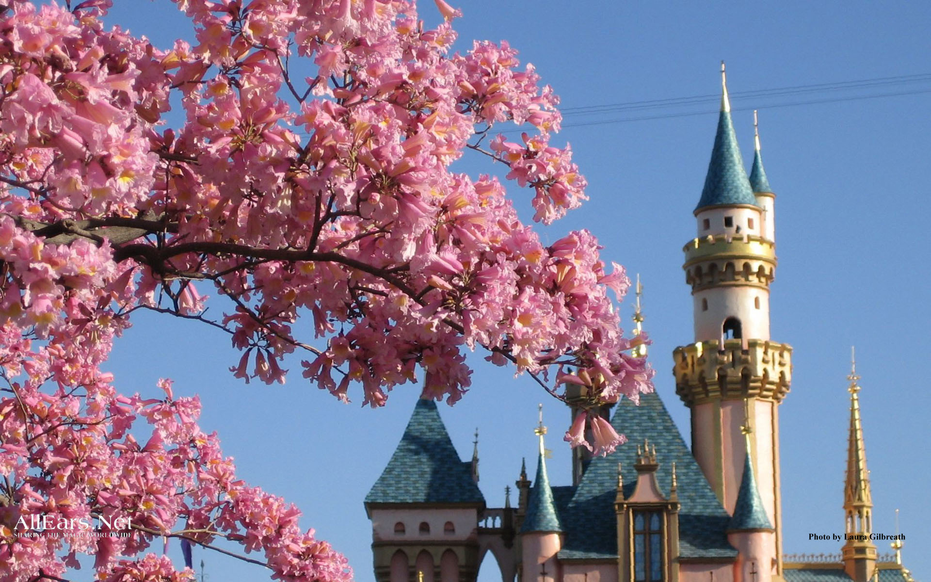 Sleeping Beauty Castle Wallpapers