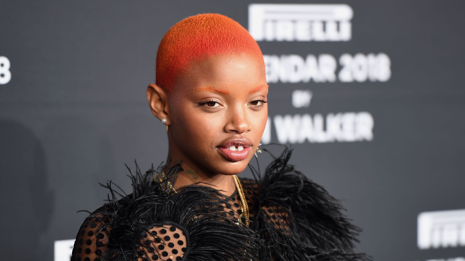 Slick Woods Wallpapers