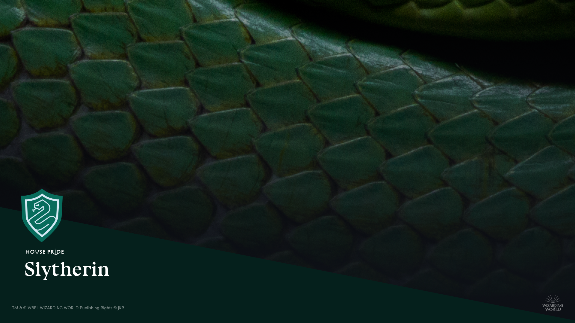 Slytherin Backgrounds