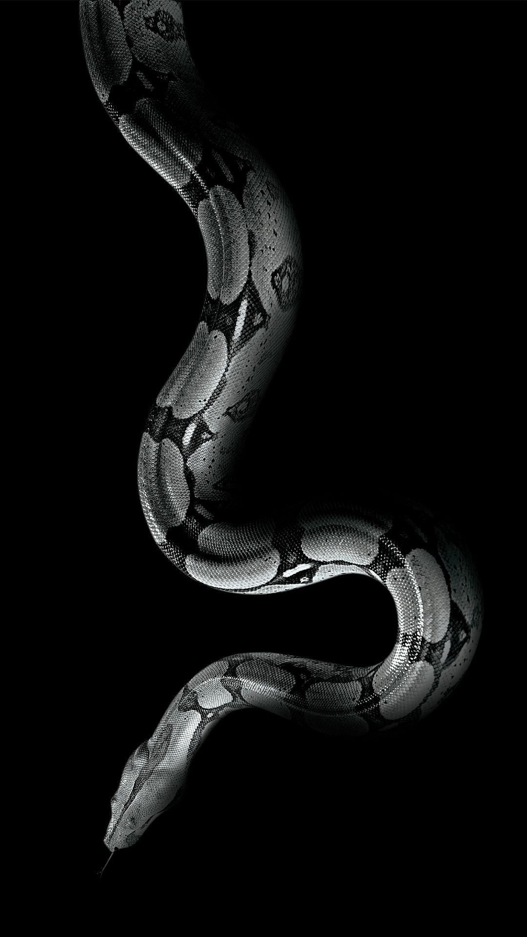 Slytherin Live Iphone Wallpapers