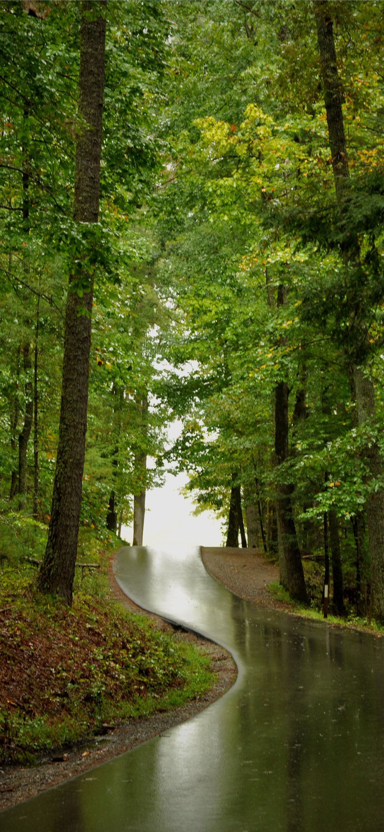 Smoky Mountains Iphone Wallpapers