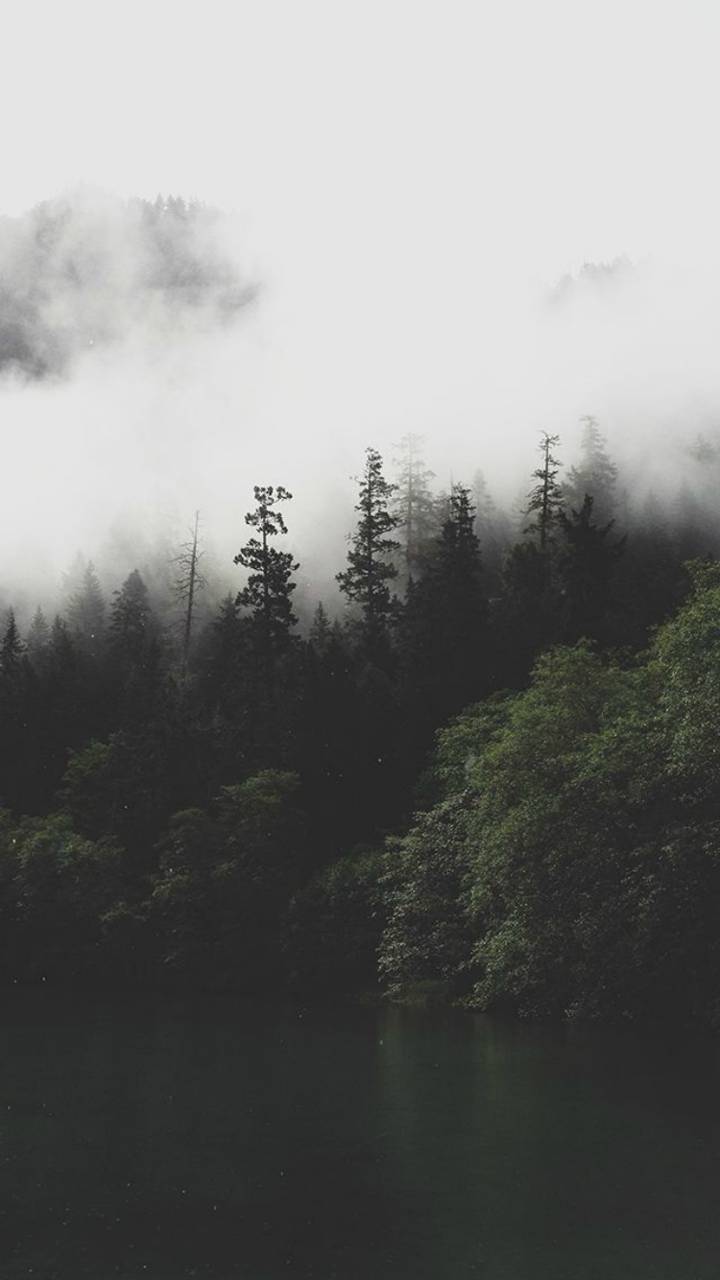 Smoky Mountains Iphone Wallpapers