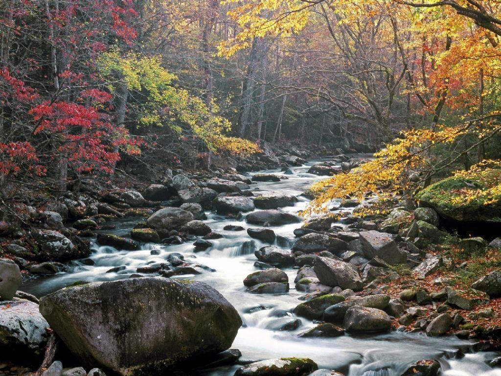 Smoky Mountains Iphone Wallpapers