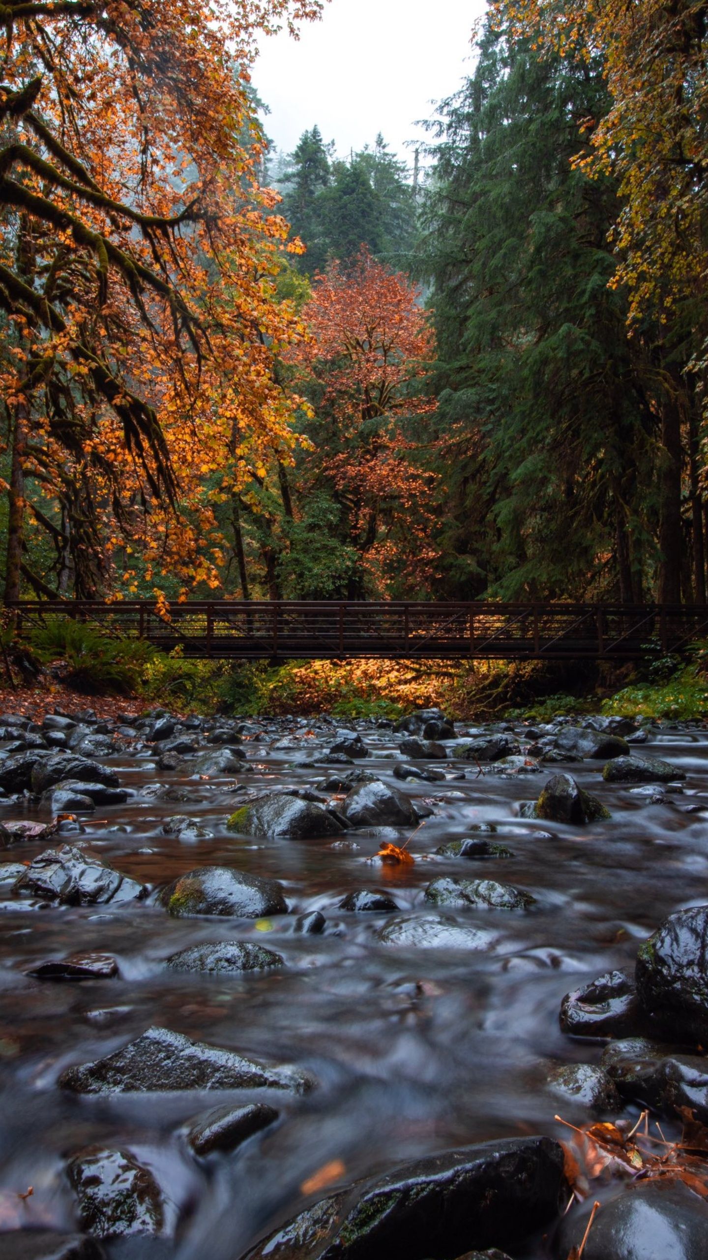 Smoky Mountains Wallpapers