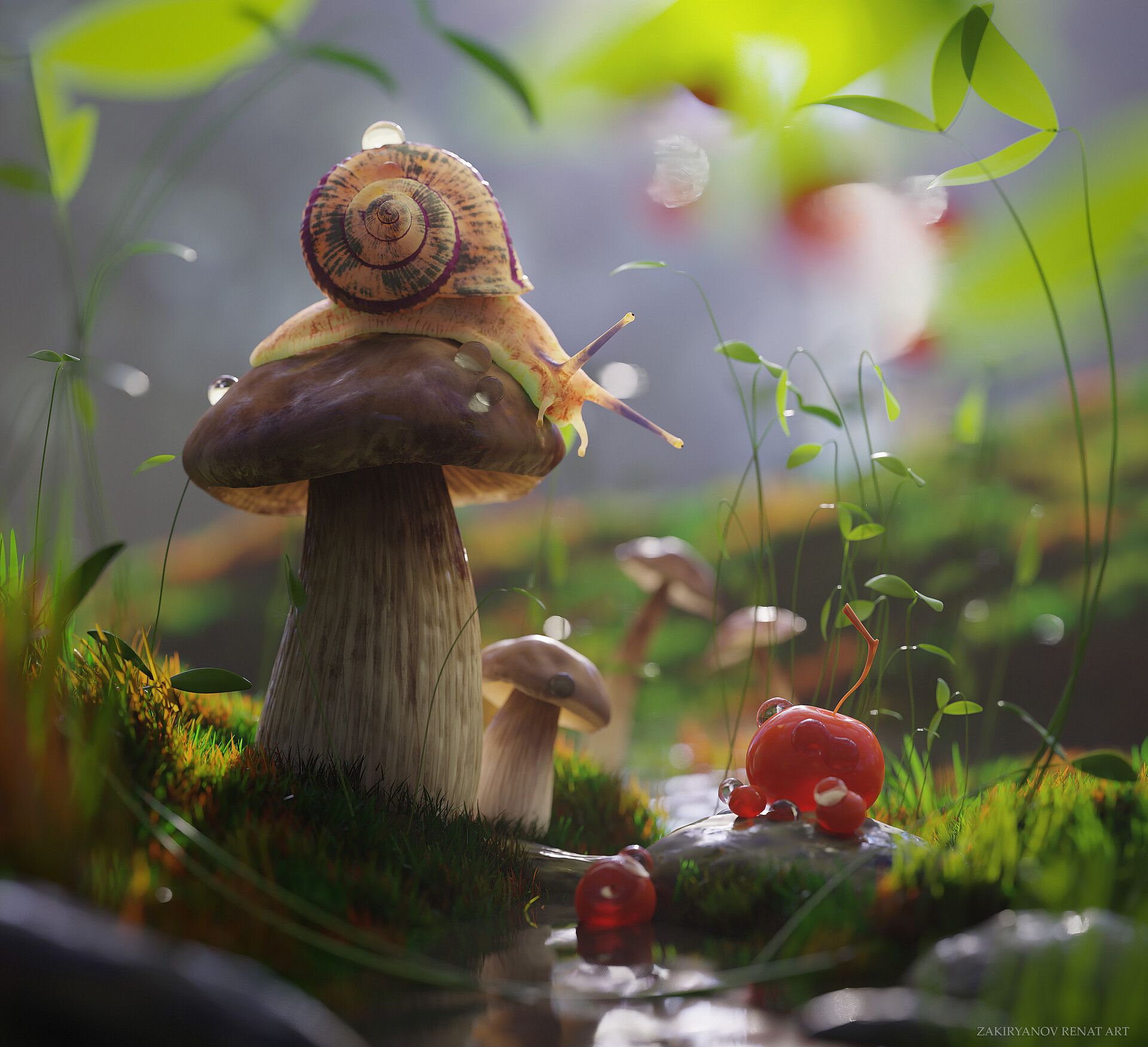 Snail And Mushroom Photography Wallpapers