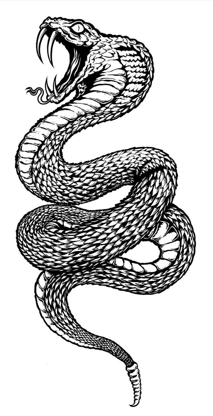 Snake Art Tattoo Wallpapers