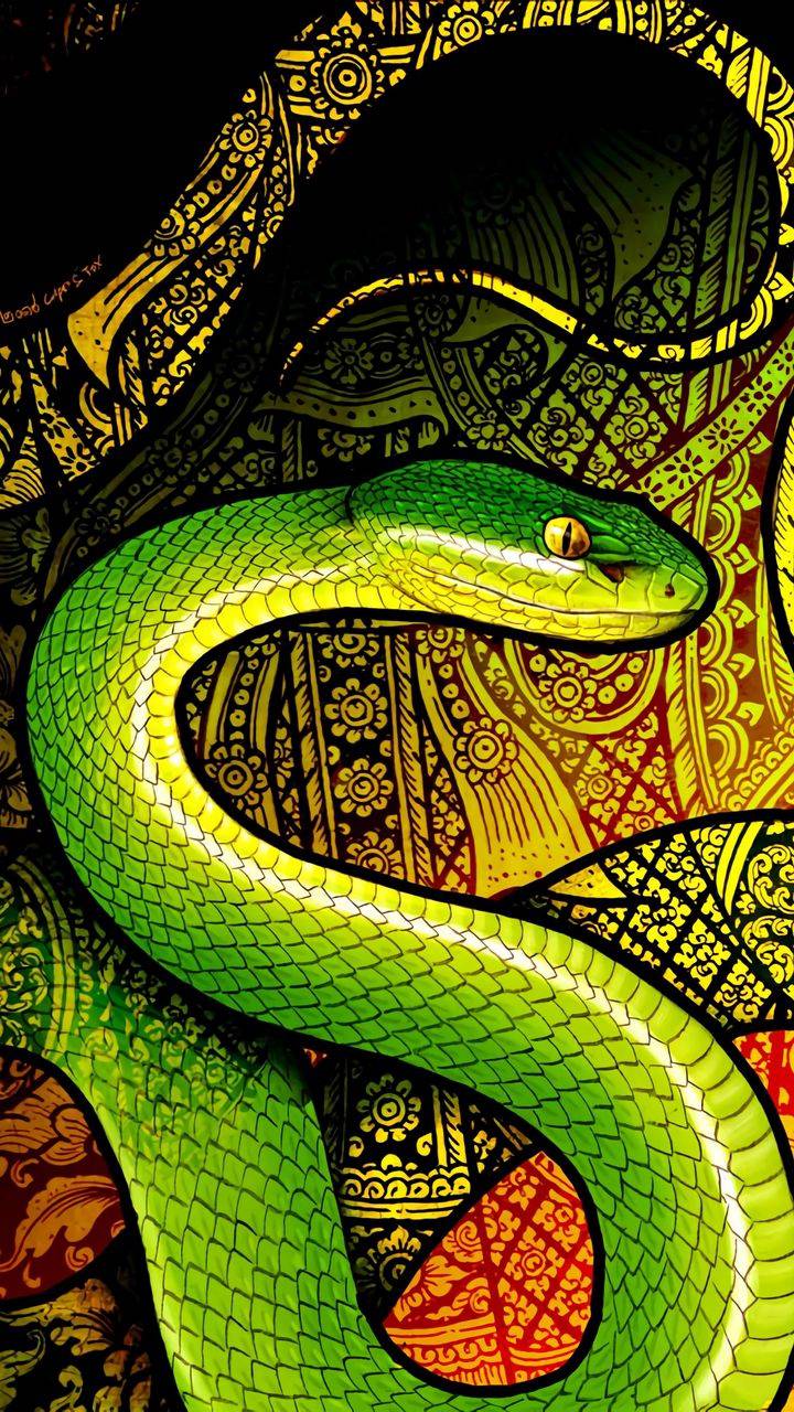 Snake Background