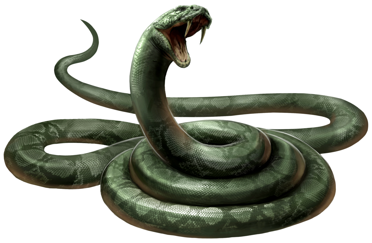 Snake Patronus Wallpapers