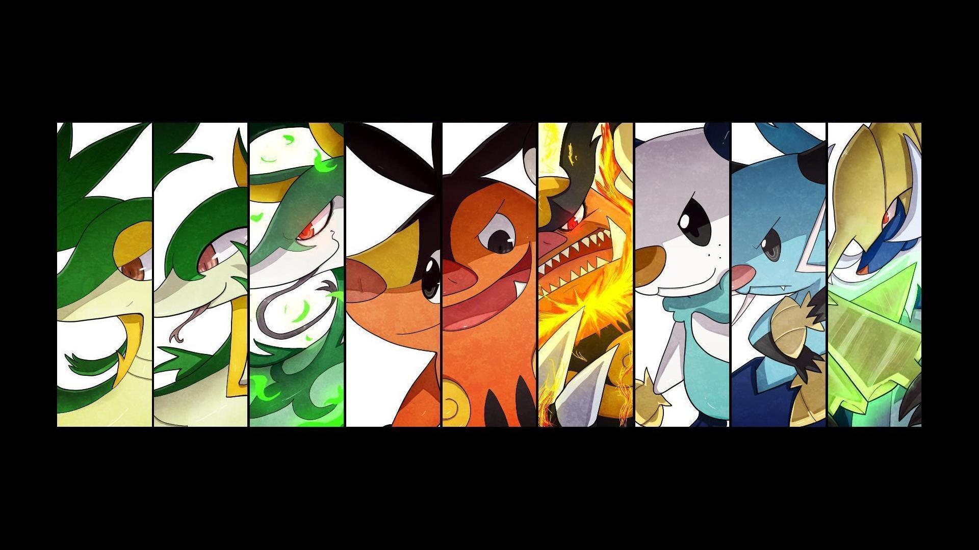 Snivy Hd Wallpapers