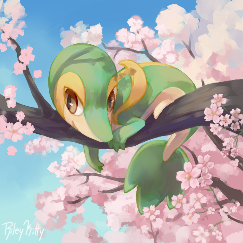 Snivy Hd Wallpapers