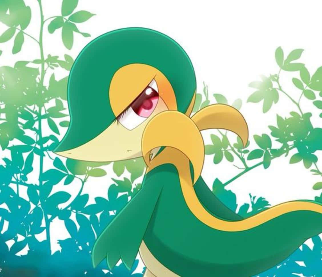 Snivy Wallpapers