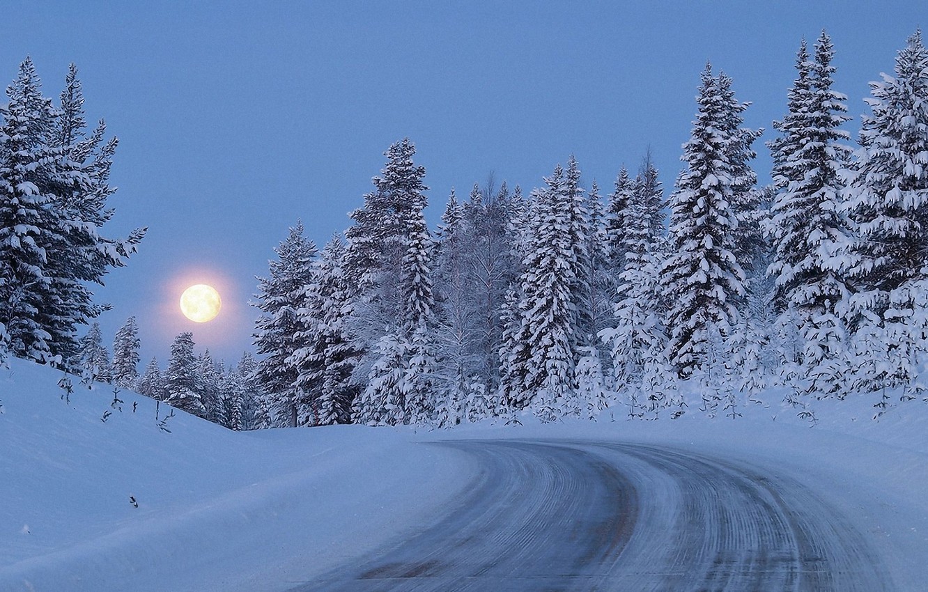 Snnow-Covered Fir Trees At Dusk In Twilight Moon Wallpapers