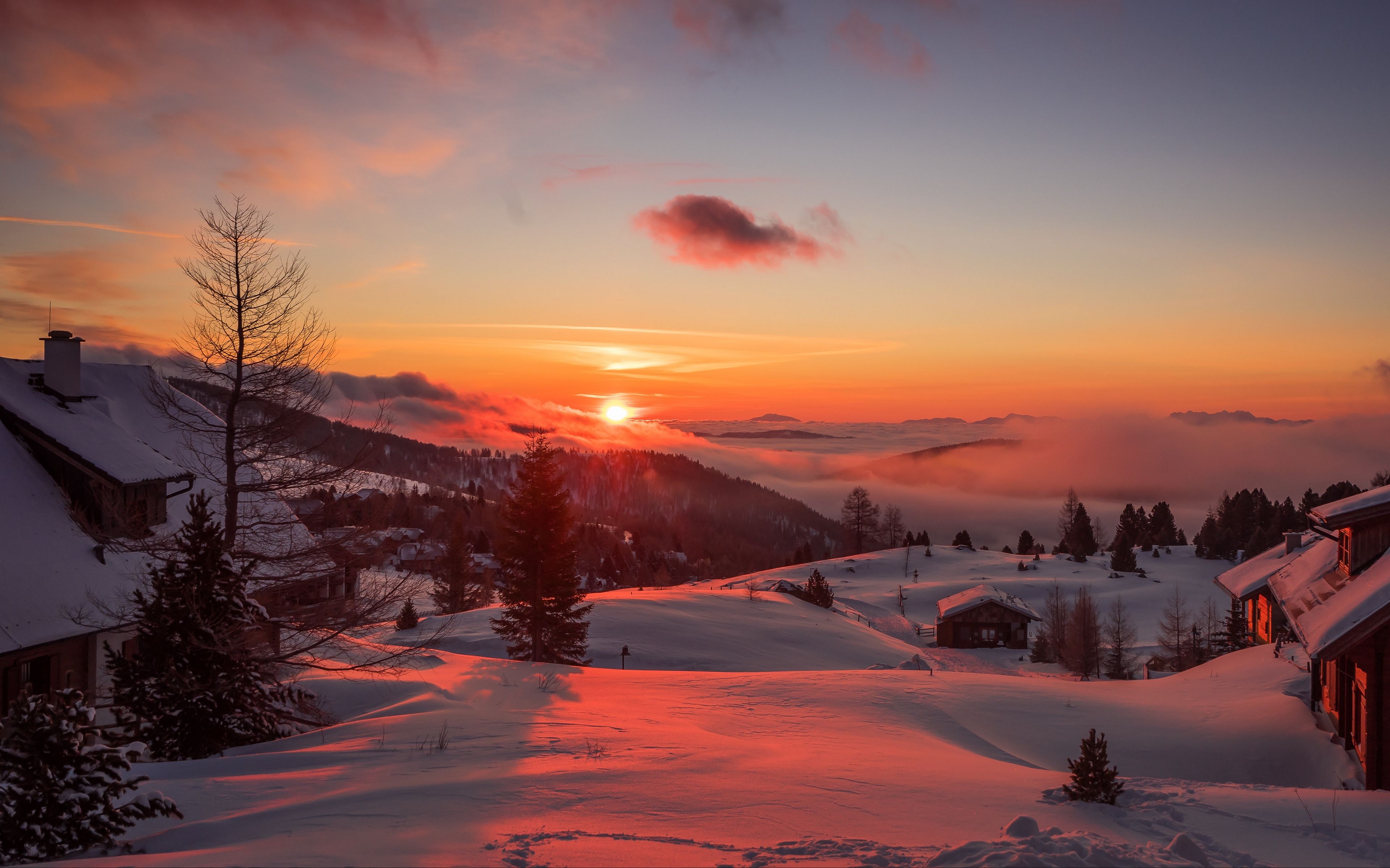 Snnow-Covered Fir Trees At Dusk In Twilight Moon Wallpapers