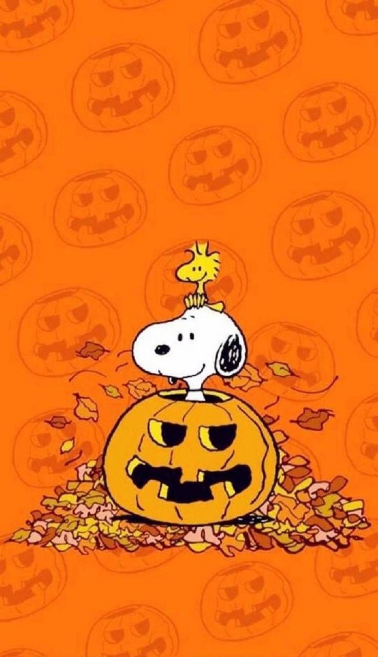 Snoopy Autumn Wallpapers