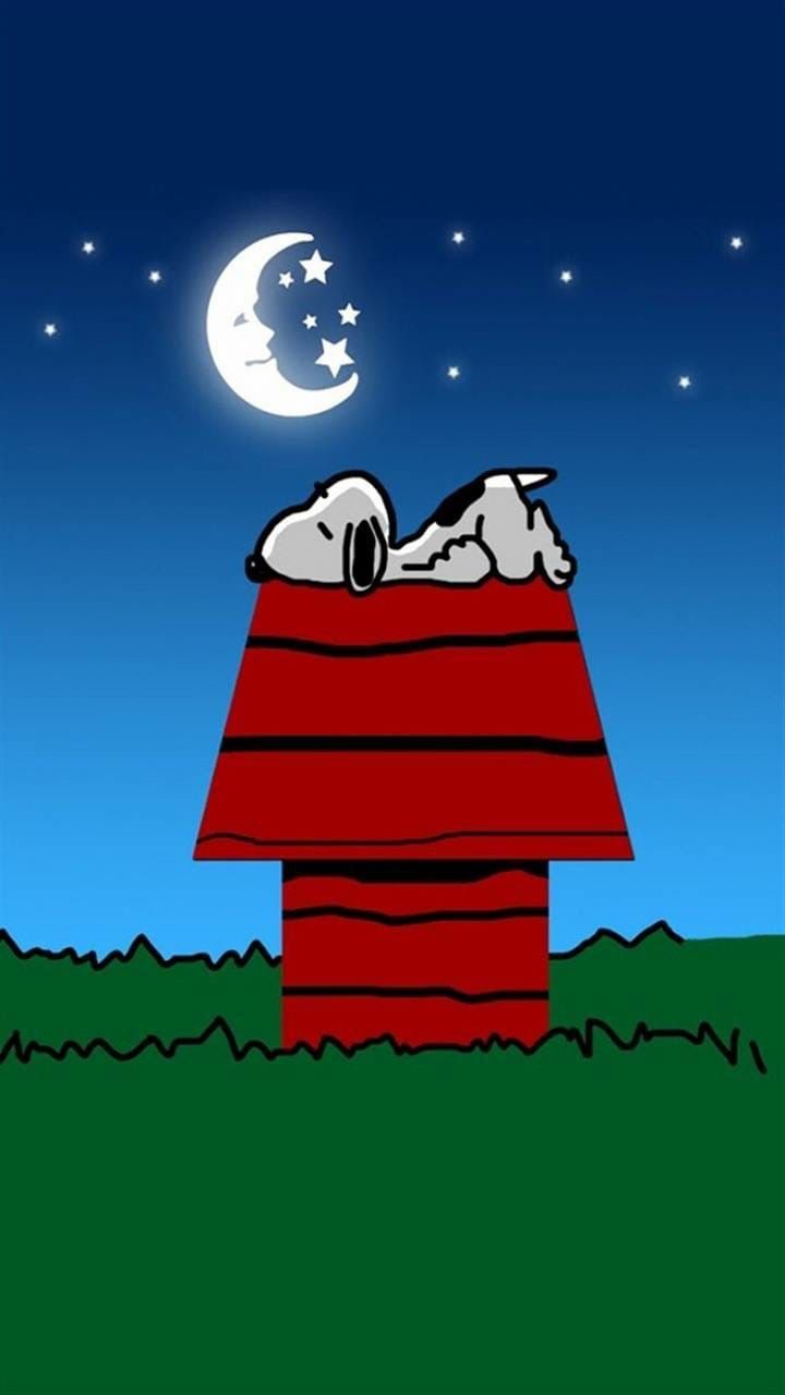 Snoopy Good Night Images Wallpapers