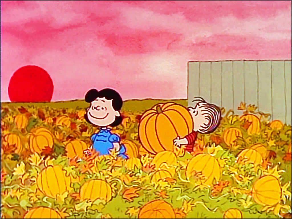 Snoopy Thanksgiving Pic Wallpapers