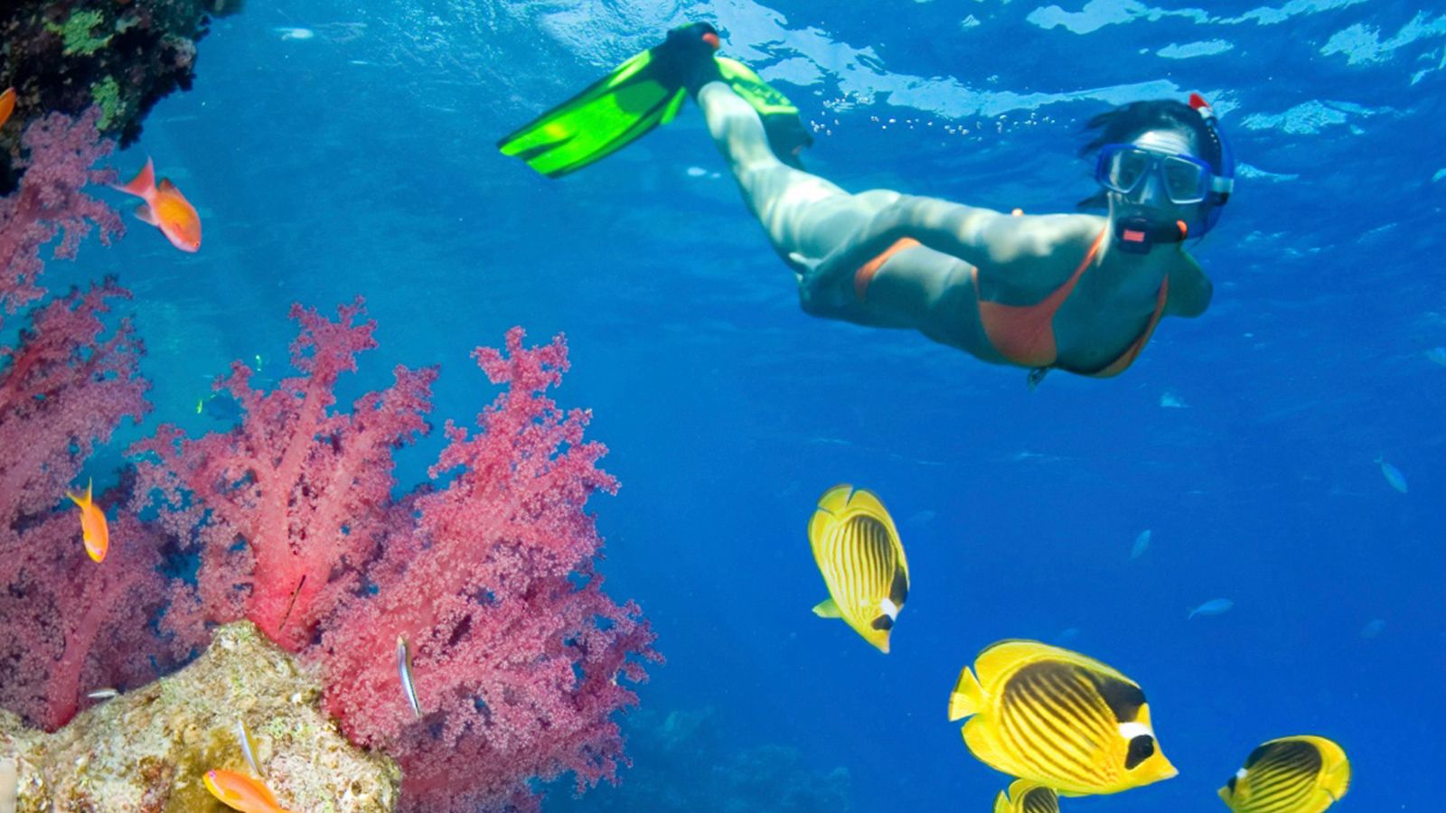 Snorkeling Wallpapers